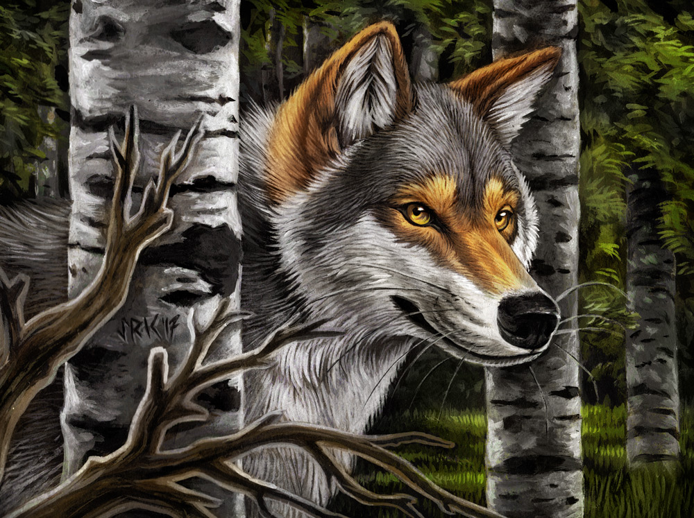 An illustration of a wolf in a forest made by our Northern Light
