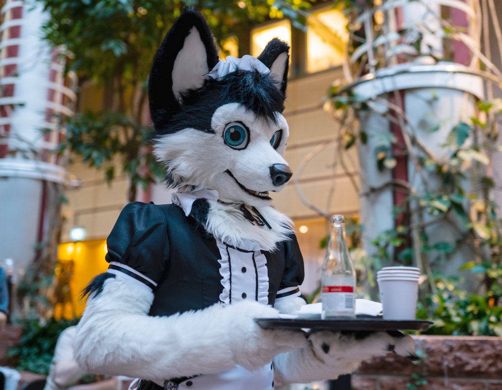 A picture of a server in our Maid Café